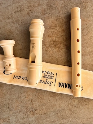 flöte in sehr gutem zustand 