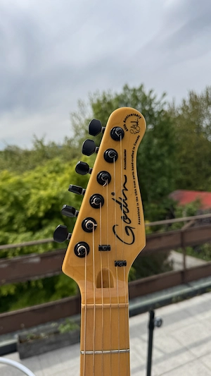 Godin 40th Anniversary Acousticaster Bild 2