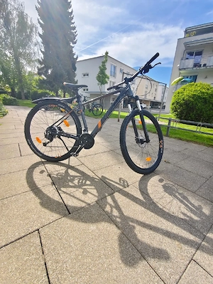 Convay Mountainbike  Bild 5