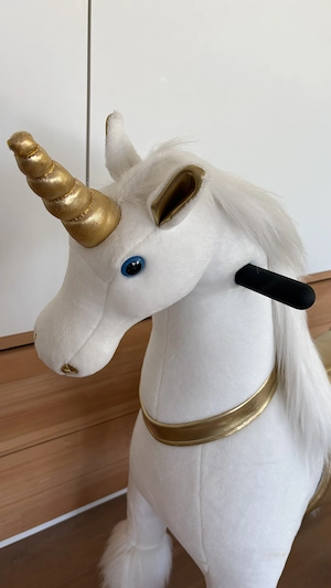 Einhorn auf Rollen Kinder 6-9 Jahre Bild 2