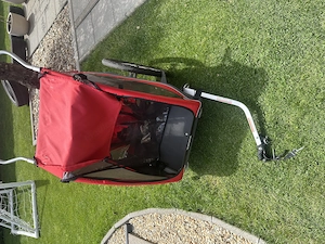 Fahrradanhänger   Kinderanhänger Thule Bild 3