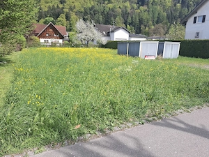 Voll erschlossenes Baugrundstück in der Sonnengasse, Gisingen   909 m  ohne Provision.