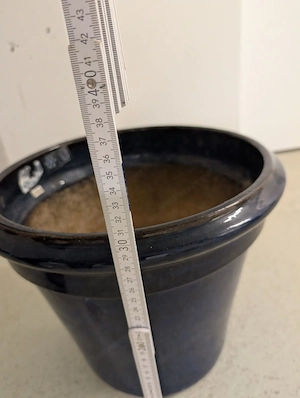  FrühlingsZeit:PflanzenZeit: Pflanztopf-Zeit Bild 3