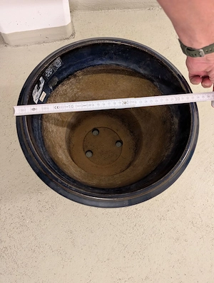  FrühlingsZeit:PflanzenZeit: Pflanztopf-Zeit Bild 2