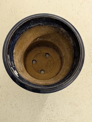  FrühlingsZeit:PflanzenZeit: Pflanztopf-Zeit Bild 4