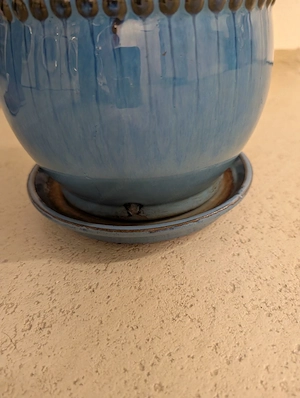 FrühlingsZeit:PflanzenZeit: Pflanztopf-Zeit Bild 3