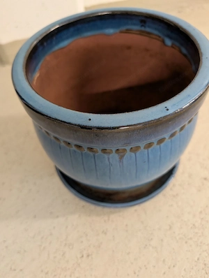 FrühlingsZeit:PflanzenZeit: Pflanztopf-Zeit Bild 2