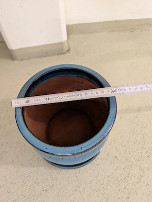 FrühlingsZeit:PflanzenZeit: Pflanztopf-Zeit Bild 4