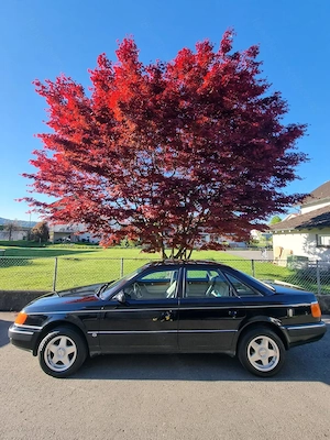 AUDI 100 2,3 in gutem Zustand Bild 7