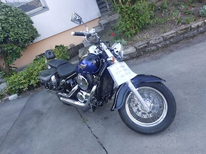 Kawasaki VN800 Classic Bild 4