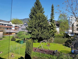 Schönes 1-Zimmer-Apartment im Zentrum von Dornbirn (Nähe FH, Krankenhaus) Bild 3