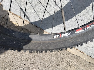 Mountainbike dt Swiss und scheibenbremsen Bild 2