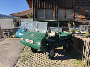 Verkaufe Puch Haflinger  Bild 2