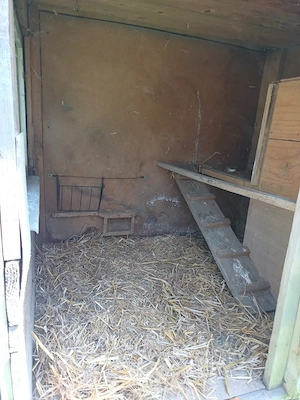 Hühner- bzw Hasenstall Bild 4