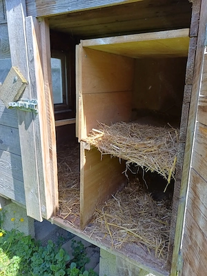 Hühner- bzw Hasenstall Bild 6