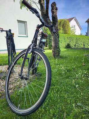 Fahrrad Retro Damen Schwarz, Leder