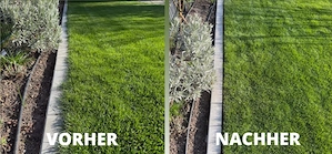 Rasenmäh- und Gartenservice - schnell & zuverlässig Bild 2