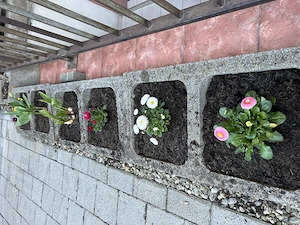 Nachmieter für 2-Zimmerwohnung gesucht Bild 4