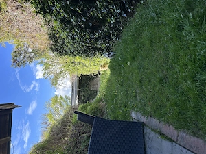 Nachmieter für 2-Zimmerwohnung gesucht Bild 5