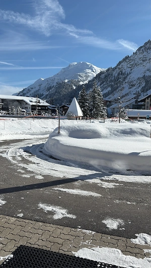 Pizza-Backofen-Stein Bild 3