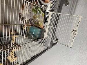 Vogelvoliere oder Kleintiernager Voliere Montana Villa Casa 60