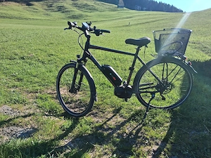 Schönes Herren E-Bike von Ghost mit Bosch Motor & Akku