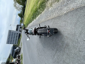 Benda Napoleon Bob 250 Grün Bild 4