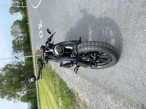 Benda Napoleon Bob 250 Grün Bild 2