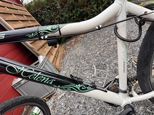 Mountainbike Genesis "Helena" Bild 2