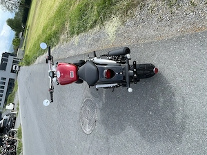 Benda ChinChilla 125 rot & schwarz Bild 10