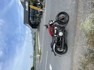 Benda ChinChilla 125 rot & schwarz Bild 6