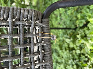 Gartensessel mit Gewebeüberzug