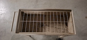 Kräuter-Blumenbeete