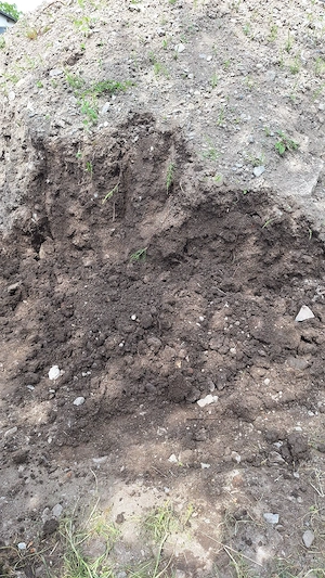 Erde, Aushub (mit Steinen) von Nutzgarten Bild 2