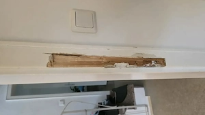 Maler, Lackierer und Verputz Arbeiten Bild 8
