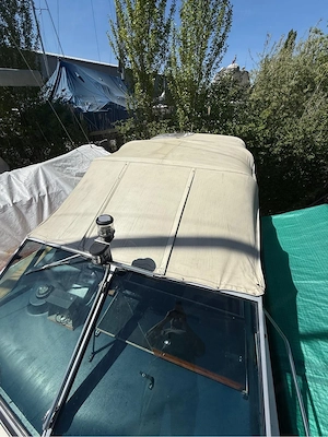 Motorboot SeaRay  Bild 5