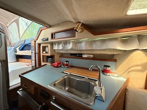 Motorboot SeaRay  Bild 6