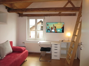 Privatzimmer Bäumlegasse Dornbirn für ein paar Wochen Monate mit gr. Wohn- Essküche und Terrasse Bild 7