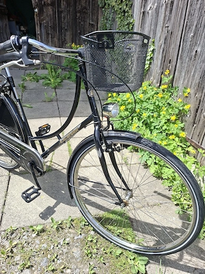 Damenrad im retro Stil