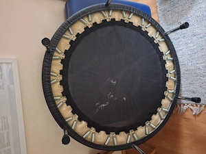 Zimmer Trampolin Bild 2