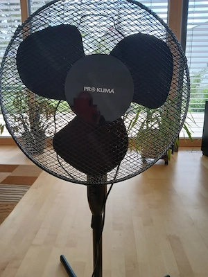 ProKlima Standventilator schwarz