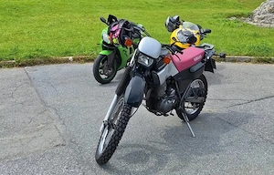 Yamaha XT 600 "Kultmotorrad" mit wechselbarem Sitz Bild 5