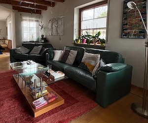 Fernsehcouch, Echtleder. Farbe grün  Bild 2