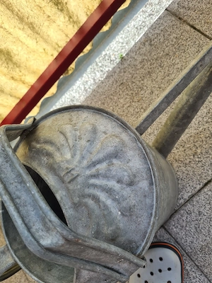 alte Giesskanne Bild 3