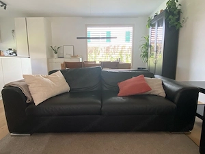 Ledersofa mit Stuhl Bild 3