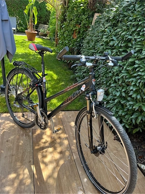Sportrad Damen Bild 3