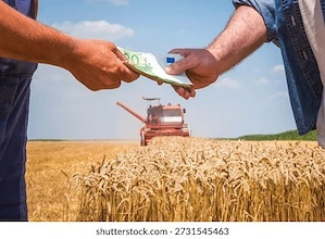 Finanzieren Sie Ihre Investitionsprojekte in Industrie, Immobilien und Landwirtschaft  Suchen Sie Ka Bild 2
