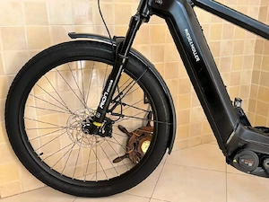 Riese & Müller Charger4 GT 750 Bild 2