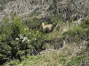 Singlemann 60 sucht SIE mit Wohnmobil !  Bild 2