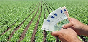 Kredite: Entwickeln Sie Ihre Projekte, Unternehmen, Immobilien, Landwirtschaft usw.  Bild 4
